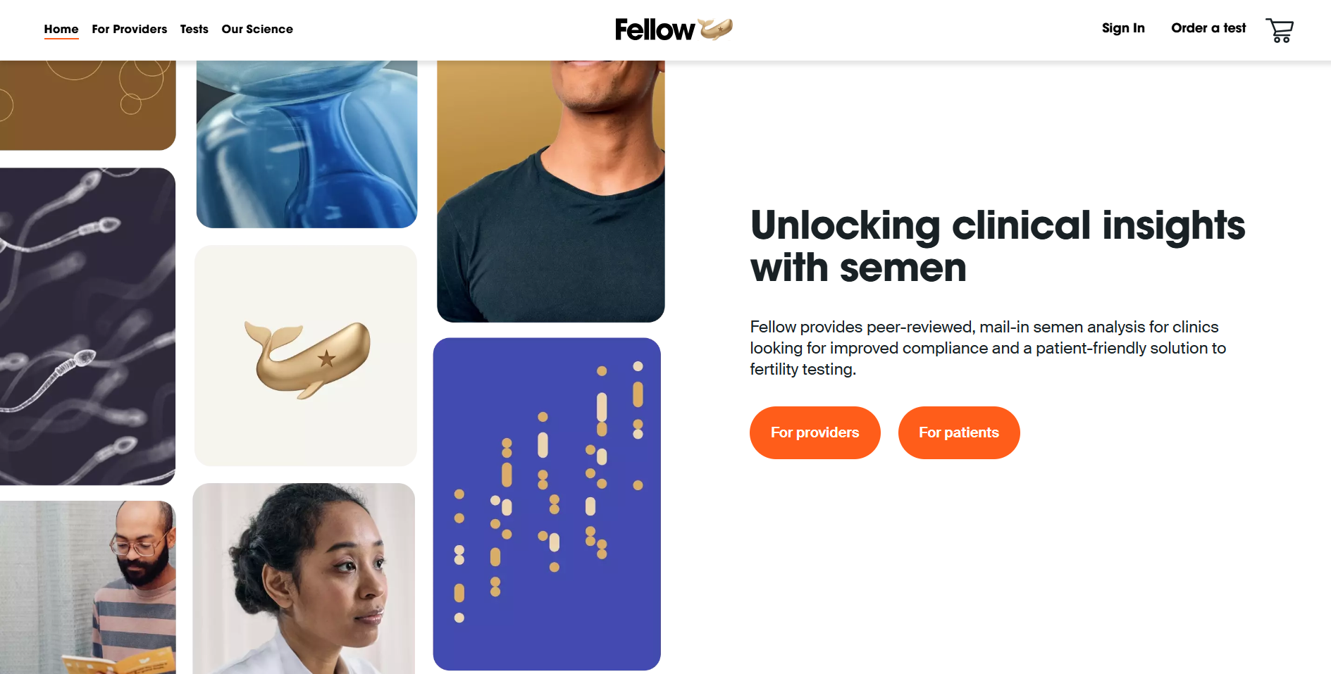 Fellow Health Secures $24M Series B to Advance Semen-Based Diagnostics