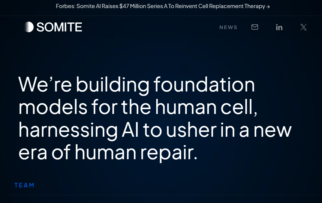 Somite AI Raises Series A to Build Foundation Models for Human Cells