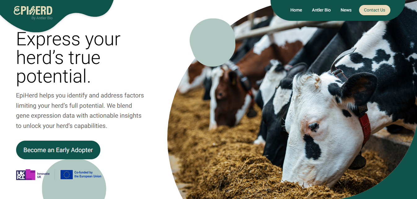 Antler Bio Raises $4.2M to Power Precision Livestock Genomics for a Healthier, More Efficient Dairy Future