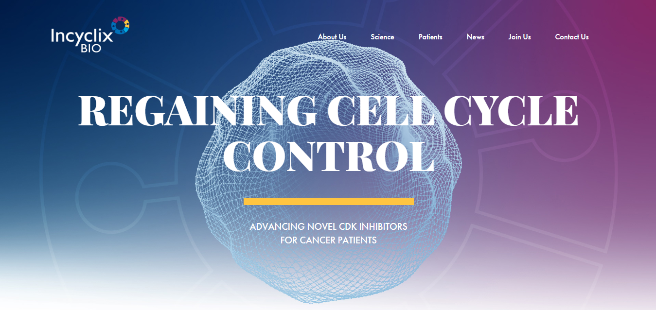 Incyclix Bio Raises $11.25 Million Series B to Advance Breakthrough Cancer Therapies