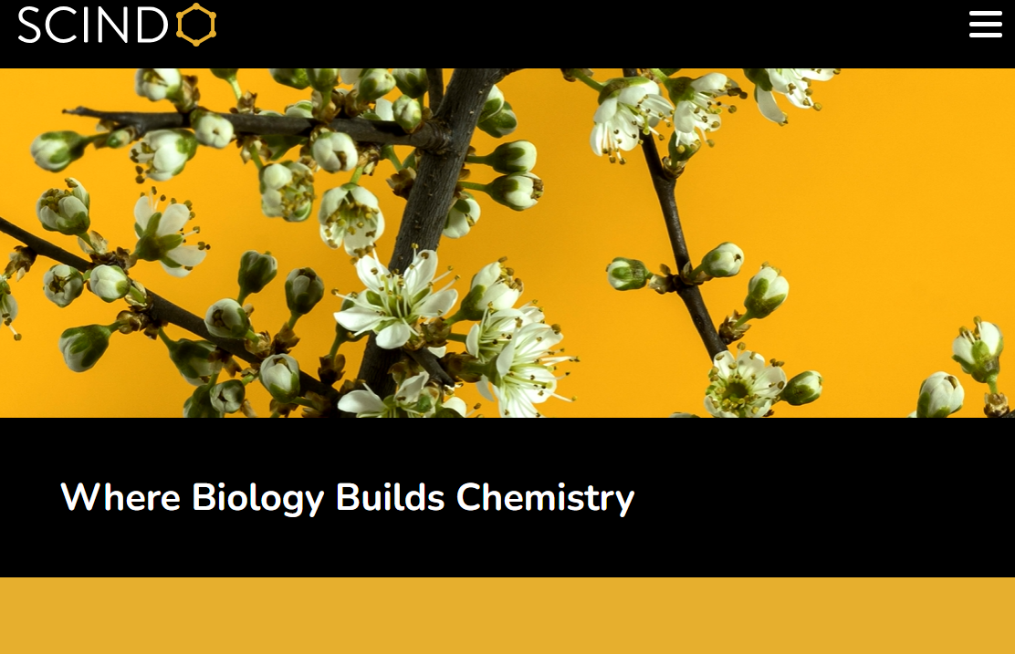 Scindo Raises $5.4M to Unlock Enzyme-Powered Sustainable Manufacturing
