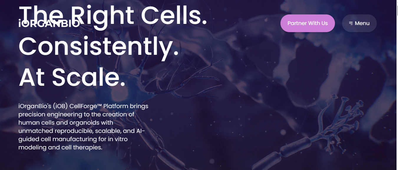 IORGANBIO Raises $2,000,000 to Engineer Functional Human Organs in the Lab  –  No Donors Required
